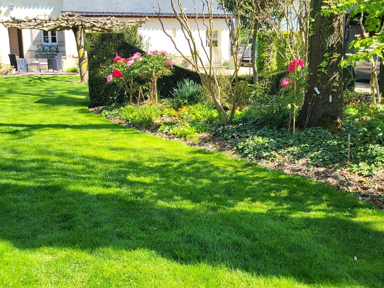 Gazon Ornement Label Rouge