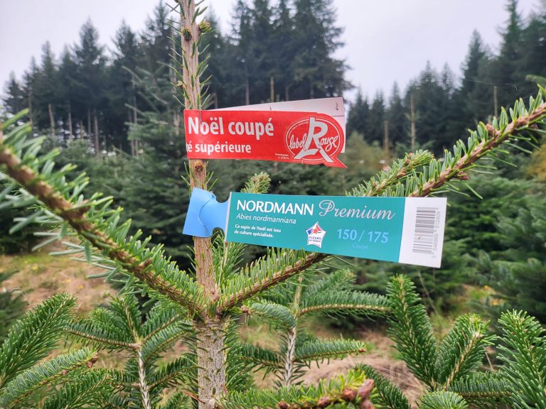 Sapin de Noël Label rouge Fleur de France