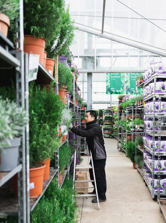 Grossiste Végétal Rungis