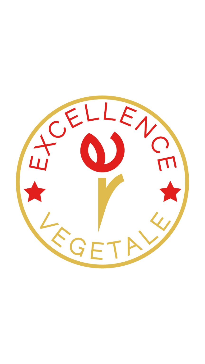 Logo EV format portrait