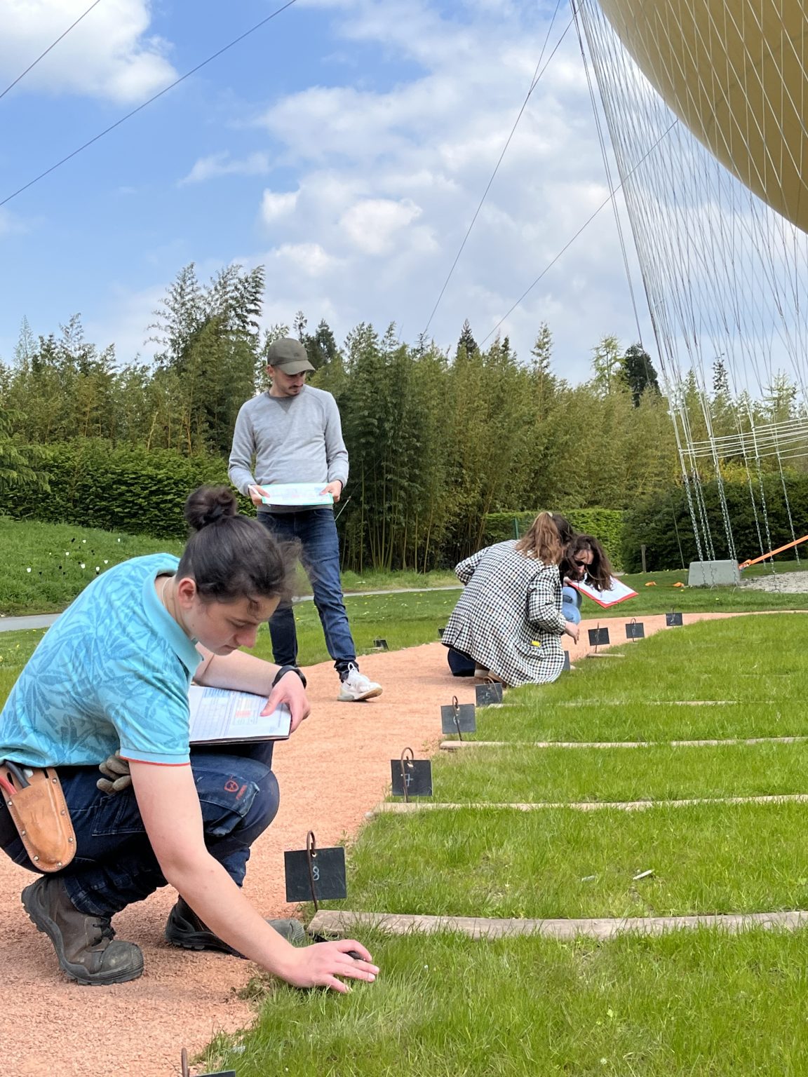 Jury Gazon Label Rouge